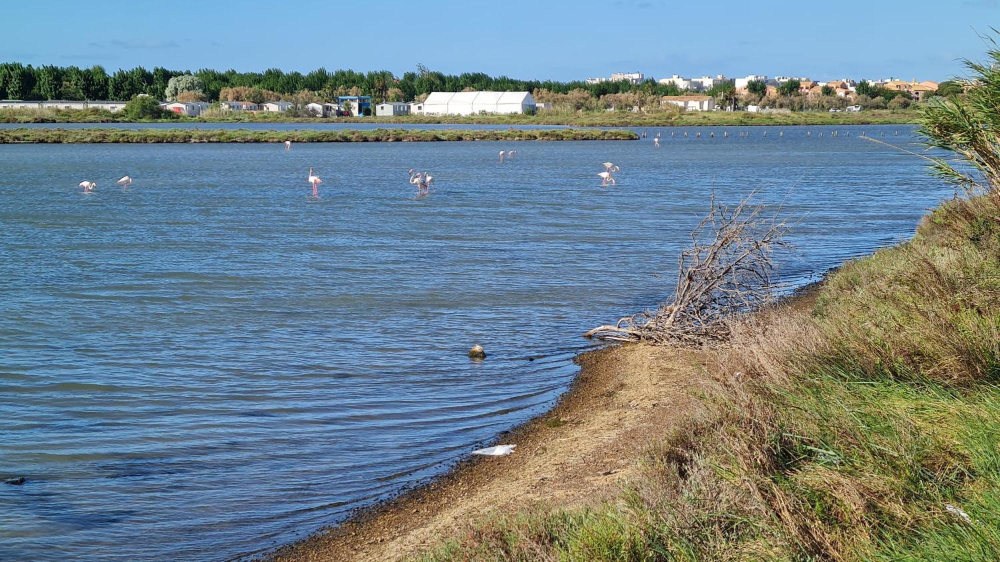 Mobilhome Au Camping Les Salins De La Gardiole Ex Camping Europe Vic-la-Gardiole Exterior photo